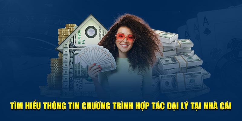 Thông tin chương trình đại lý